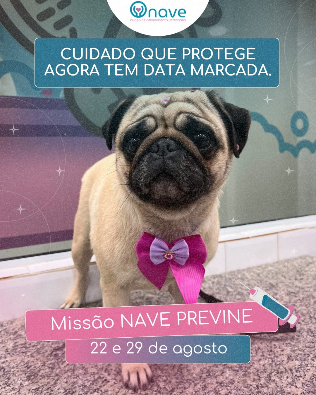 Post da NAVE sobre cuidado com pets